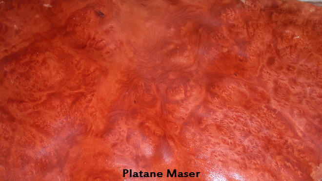 Platane Maser